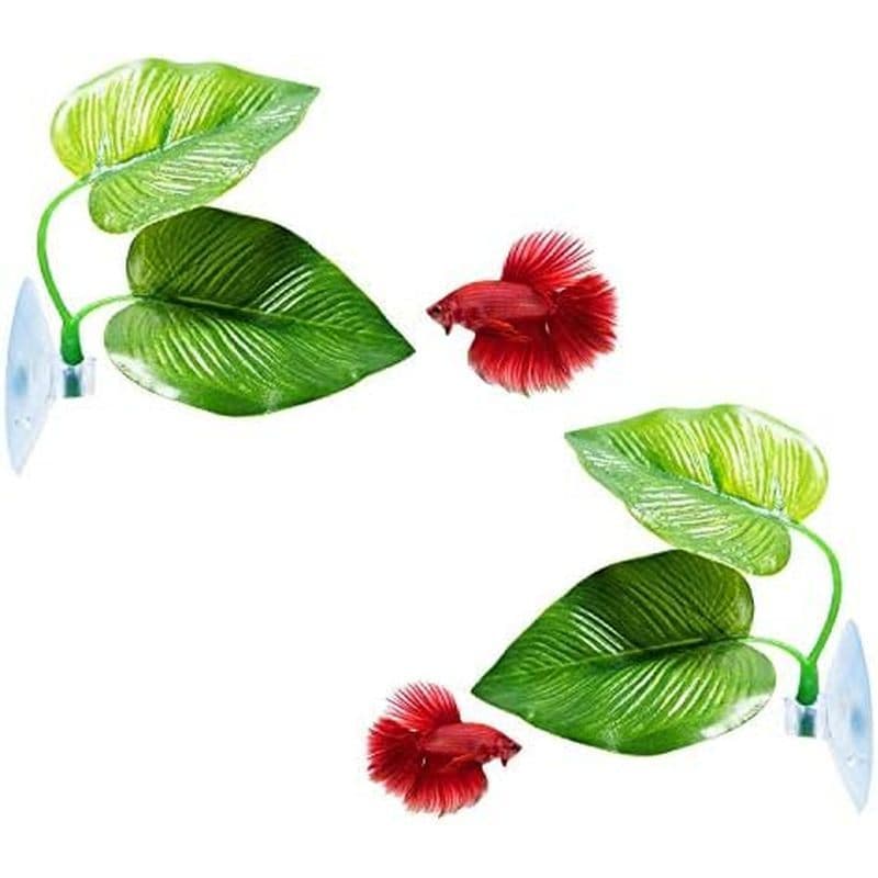 CousDUoBe 2 Pack Betta Fish Leaf Pad Melhora A Saúde Do Simulando O Habitat Natural-Área De Descanso , Orgânica E Confor