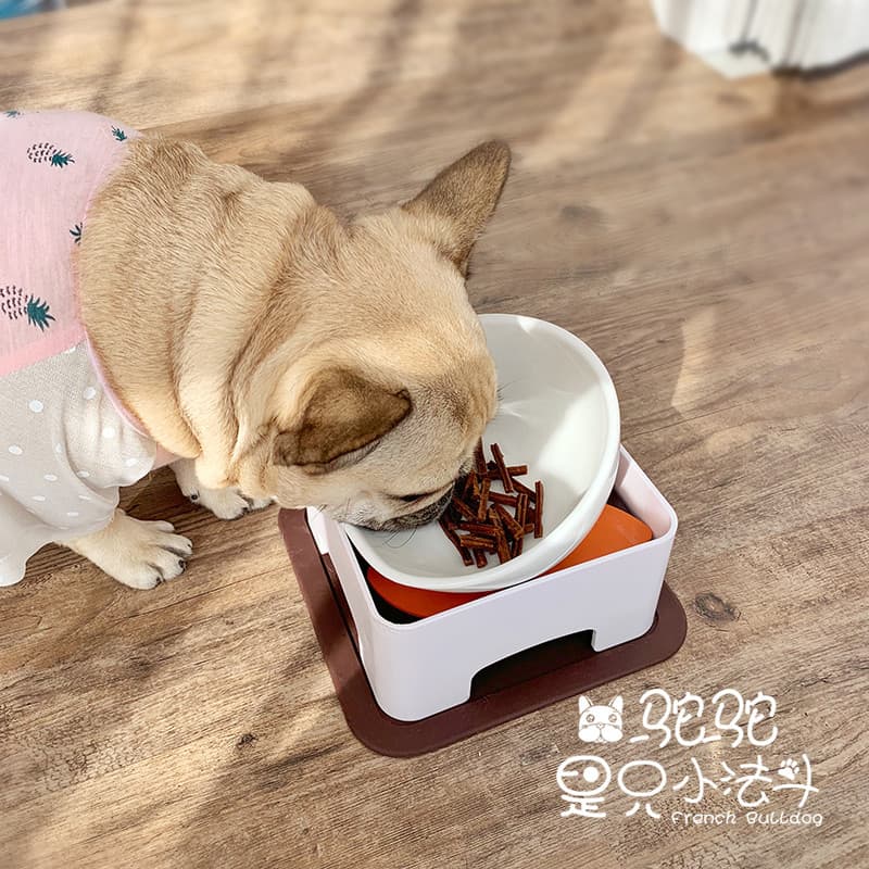 Casa de camelo luta francesa inglês luta Pug Bulldog cão de boca curta adequado tigela de comida de cachorro inclinação