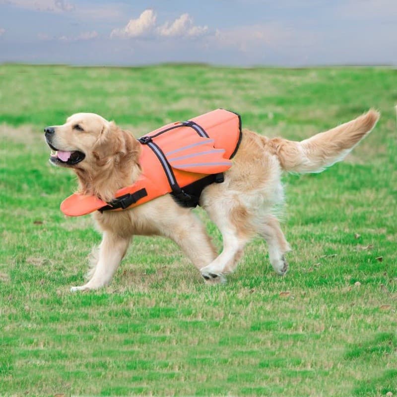 Colete Salva-Vidas para Animais de Estimação, Novo, Refletivo, Roupa de Verão para Cães, com Asas de Anjo