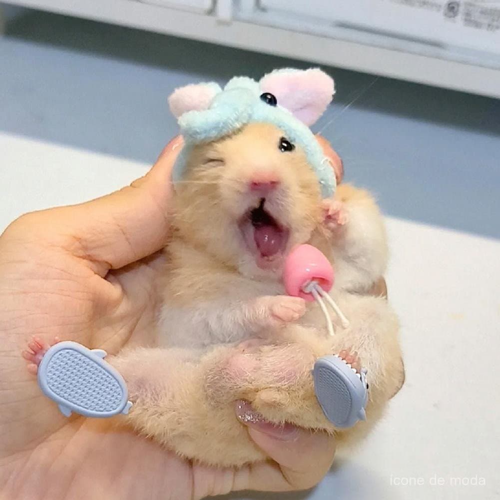 Pequeno e fofo chinelo de hamster em forma de tubarão de desenho animado R3BW 570Z