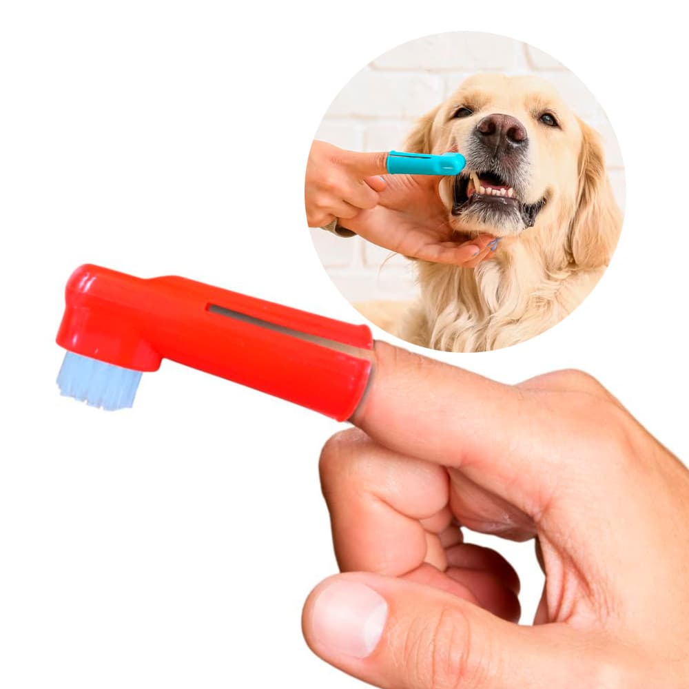 Escova de Dentes Dedal Pet Bom Amigo S5018 Premium 2 Unidades Higiene Bucal para Cães e Gatos