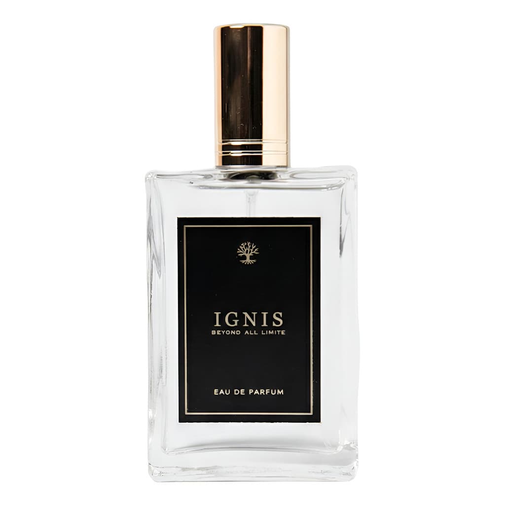 Perfume Masculino Ignis  Eau De Parfum Bluhen
