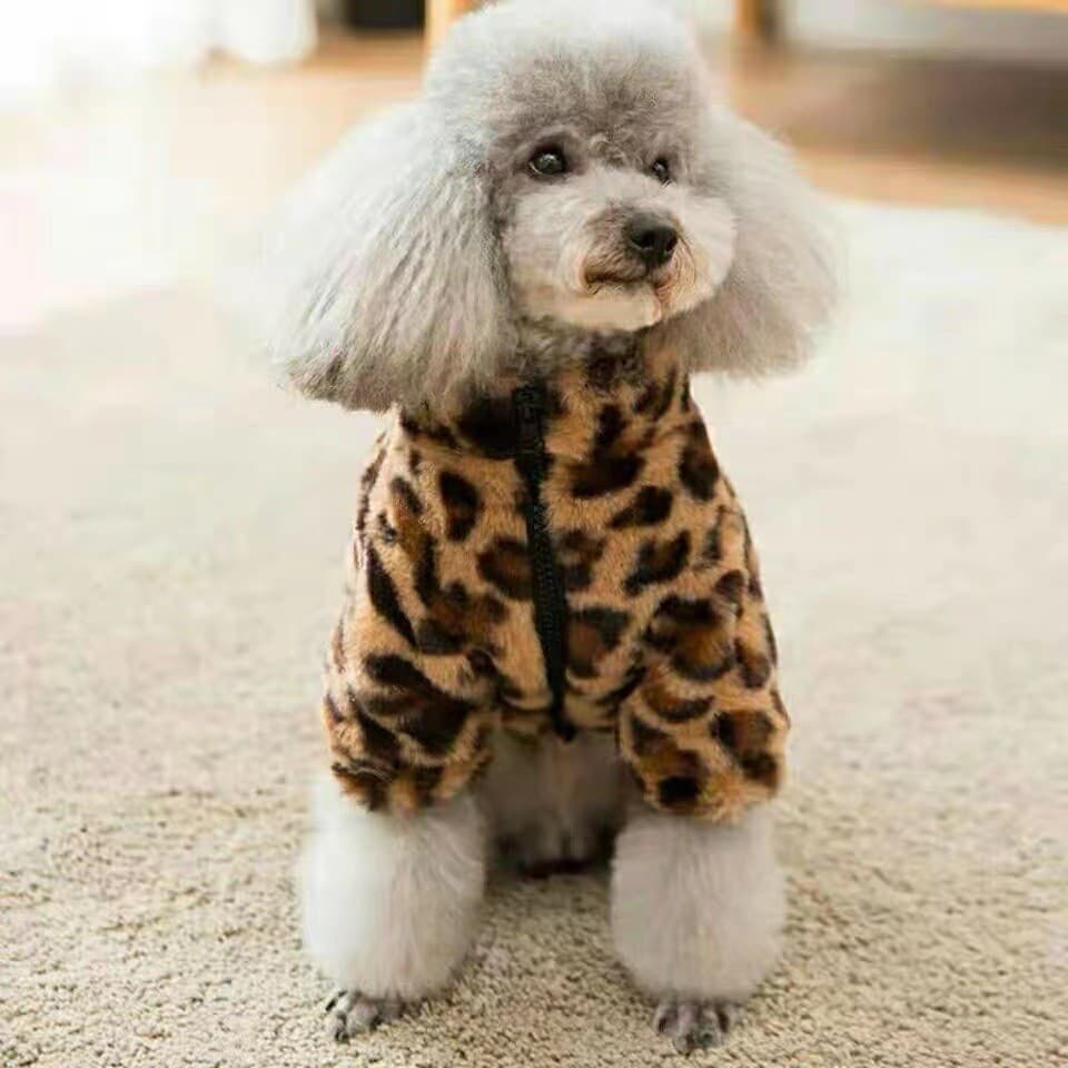Vestuario para cachorro casaco X261 ajustavel confortavel para saidas passeios e fotos