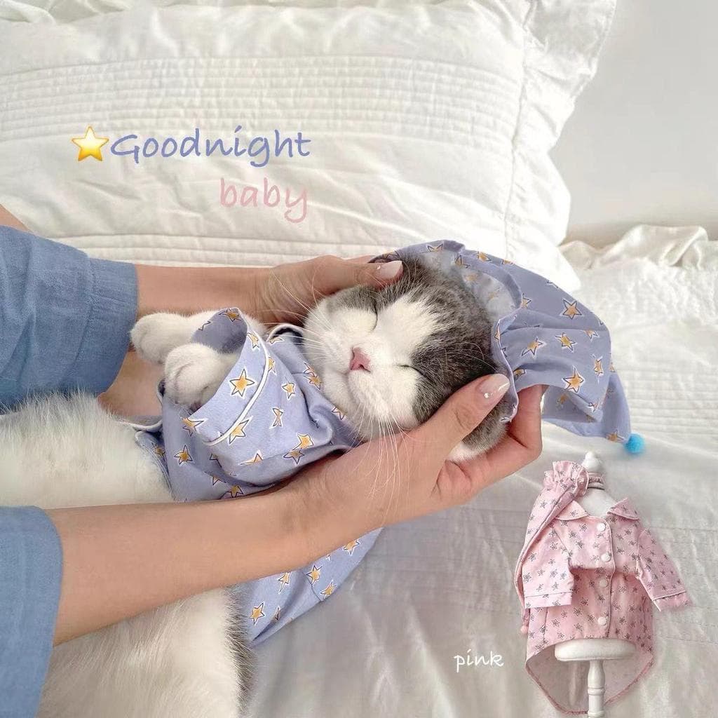 Coreia coreana ins roupas de gato para cachorro de estimação pijama estrela fofo fino maltês