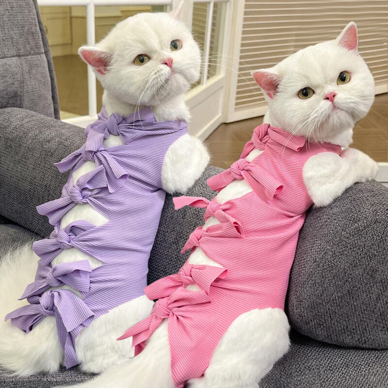 Gato Recuperação Terno Respirável Cirurgia Onesies Feminino Kitty Castração Abdominal Ferida Roupas