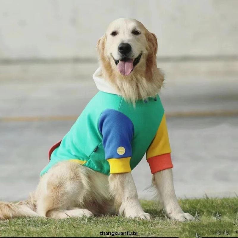 Roupa De Cachorro Golden Retriever Grande Cães De Porte Labrador Samoyed
