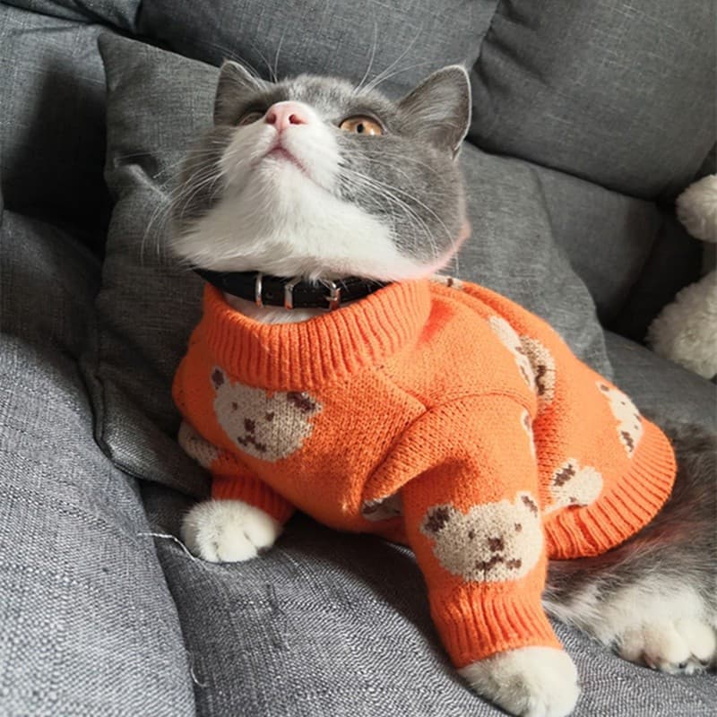 Roupas Para Animais De Estimação Atacado Suéter De Urso Fofo Corgi De Neve Outono E Inverno Espessamento Quentes Gatos .
