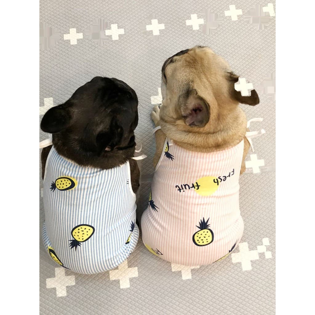 Camelo cão calças menstruais macacão período menstrual adesivos guardanapos sanitários cães do sexo feminino Teddy luta