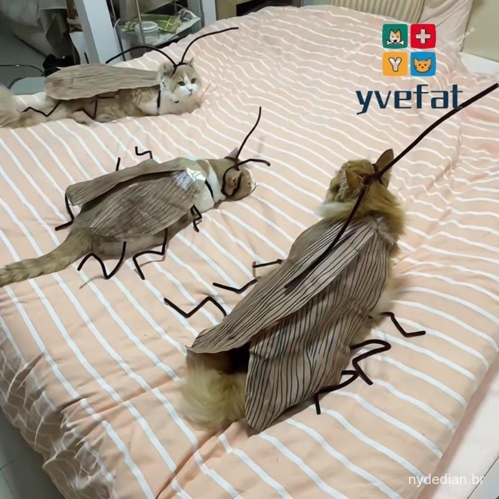 YVEFAT Roupas Para Baratas De Gato , Suprimentos Animais De Estimação , Brinquedos Gatos DIY , Acessório De Cosplay Brin