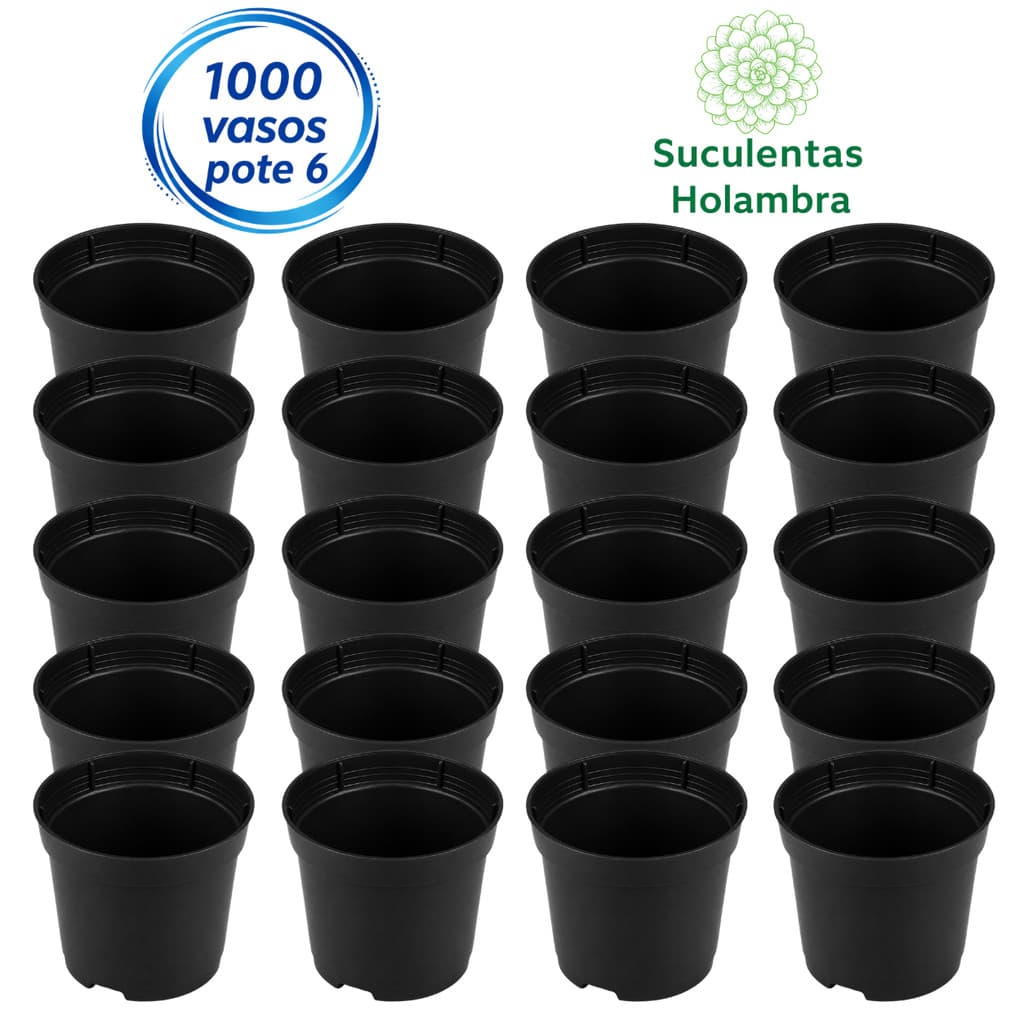 Kit 500 ou 1000 Vasos Pote 6 - REFORÇADO Cor Preta 80 ML Suculentas Cactos Suculentas Cactos