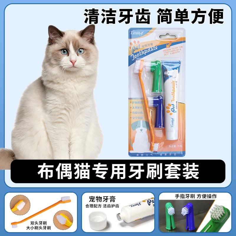 Muppet gato dedicado gato escova de dentes conjunto escova de dentes limpeza suprimentos comestíveis Pet utensílios de d
