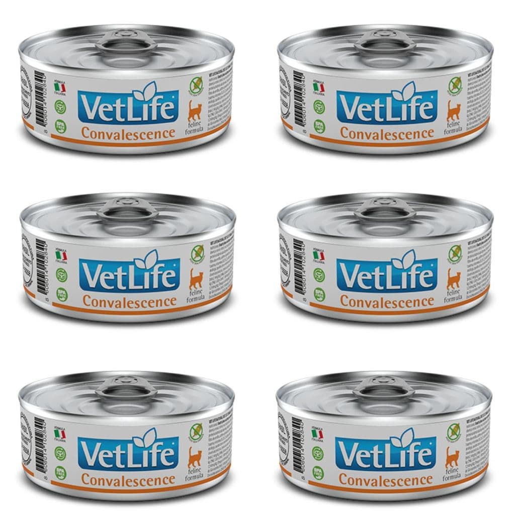 Kit c/ 6 Vet Life Convalescence Ração Úmida p/ Gatos 85g