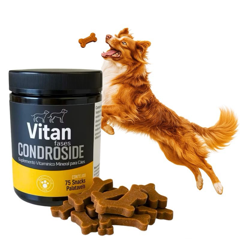 Restaurador Articular para cães - Condroitina e Glucosamina 75 tabletes sabor carne