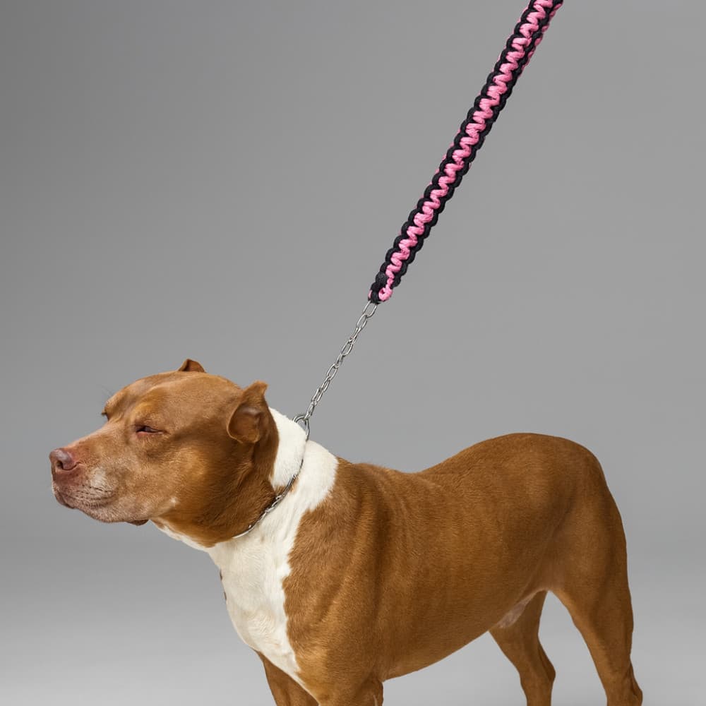 Coleira Enforcadora Corrente Ajustável ao Pescoço com Guia Reforçada  – Para Cães Fortes