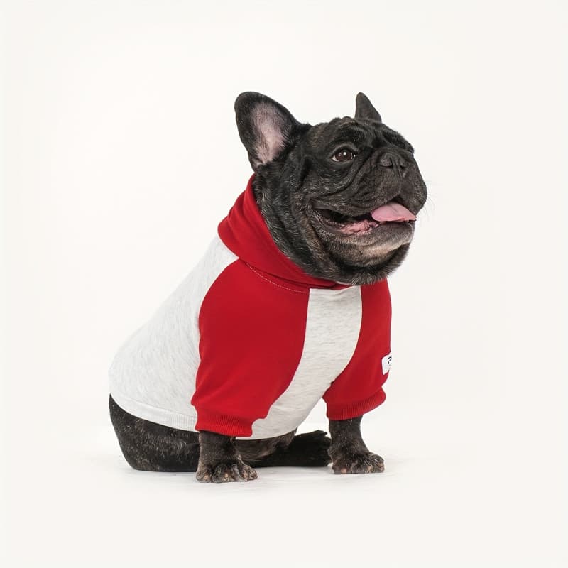 Moletom com Capuz para Cães, Roupa de Inverno para Cães, Moletom com Capuz para Filhotes 2NYY*-&-**-*