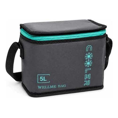 Bolsa Térmica Ferora 5l Com Alça Para Camping