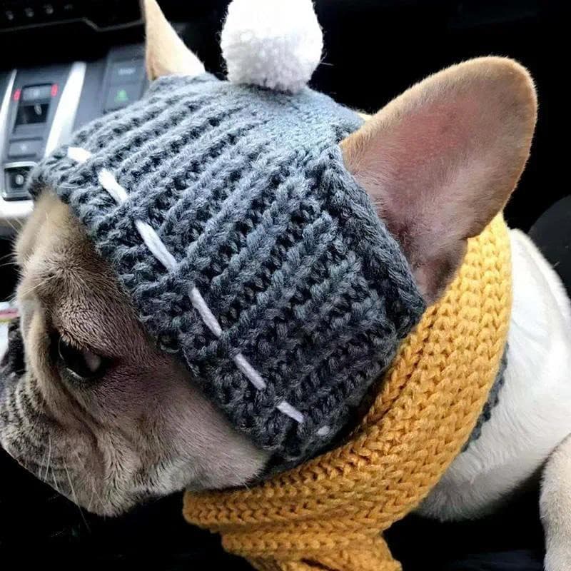 Chapéu De Cachorro Quente De Inverno Natal Lã Com Bola Touca Para Cães Pequenos Bulldog Francês