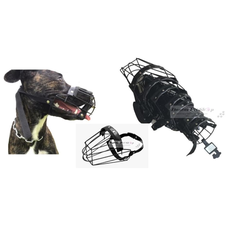 JOGO DE  Focinheira Para Cães Cachorro Aço Nº 01 ao 07