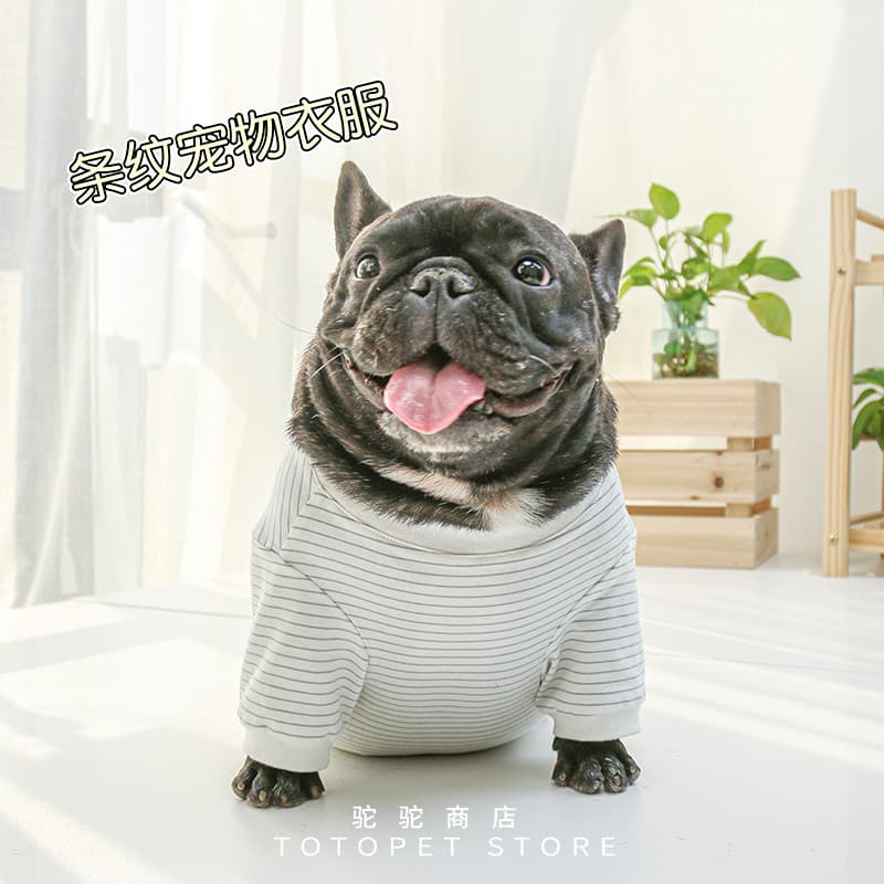 Camel House Roupas listradas para cães de estimação, confortáveis, primavera verão, quatro estações, luta francesa, pome