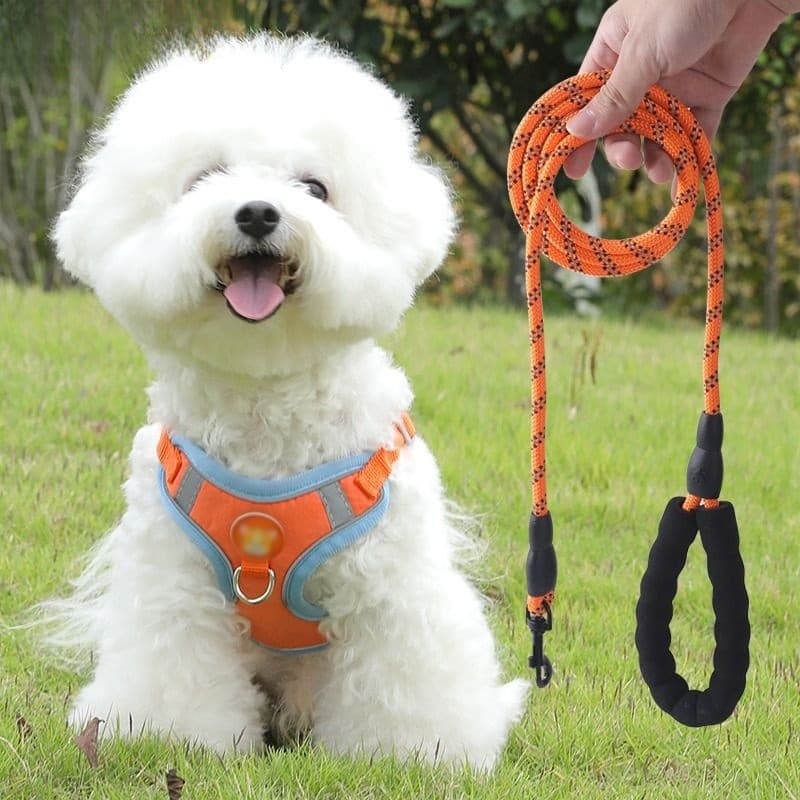 Trela do cão trela do cão colete tipo pequeno cão Teddy Bichon Pomeranian filhote de cachorro cinta peito Pet cão corren