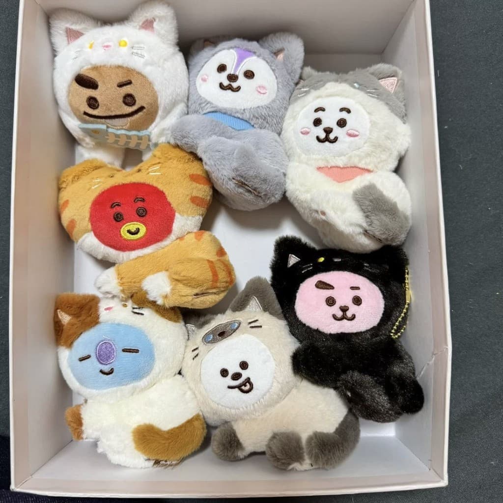 Kpop Idol BTS BT21 CAT DAY Series Mesmo Estilo Pingente De Pelúcia Chaveiro De Boneca De Desenho Animado Fofo