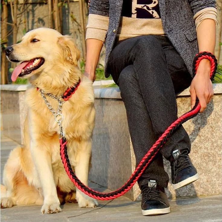 Guia Coleira Unificada Artesanal 120cm Reforçada para Cães de Médio e Grande Porte