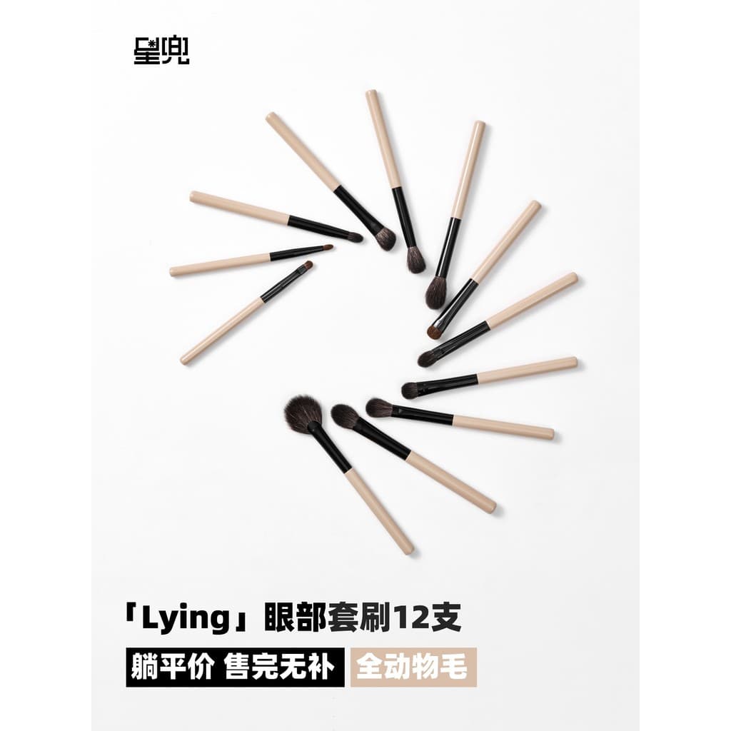 LYING LYING Conjunto de pincéis planos para olhos, 12 peças, todos os animais, cabelo, sombra, lã, crina, cor, pincel pa