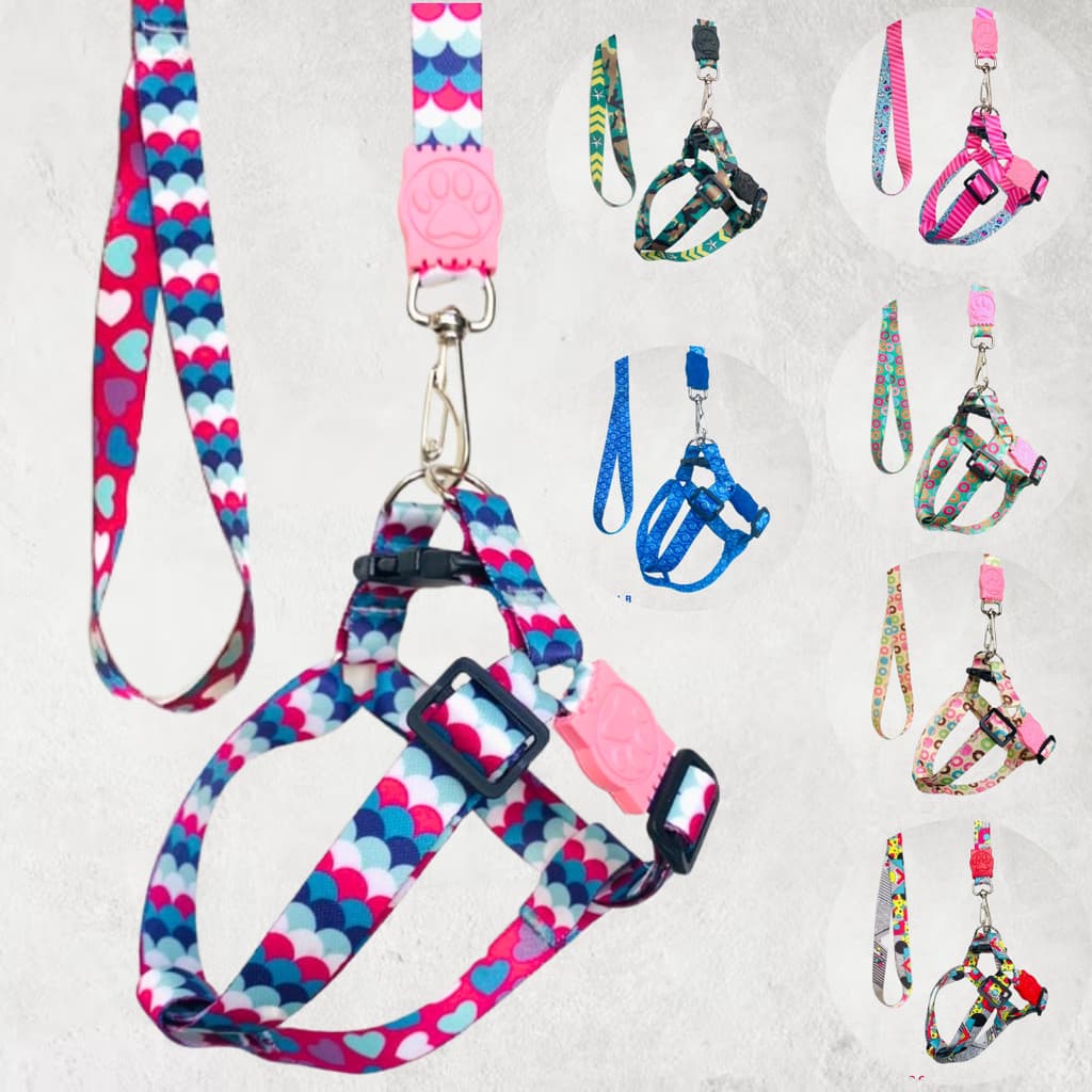 Coleira Para Cachorro Pet Peitoral Seda Estampado Americano com Guia