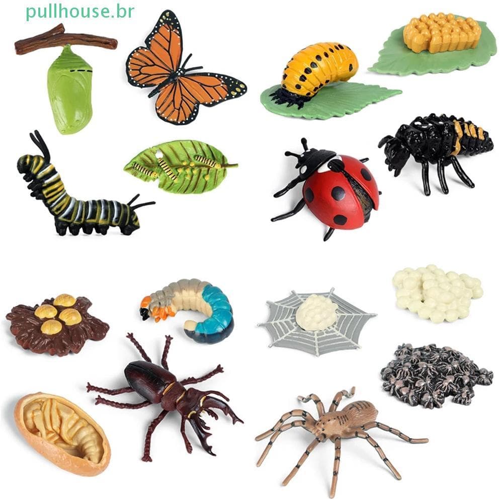 Modelo De Ciclo De Crescimento PULLHOUSE Biologia Inseto Animais Modelos De Plástico Figuras De Ação De Brinquedo Cientí