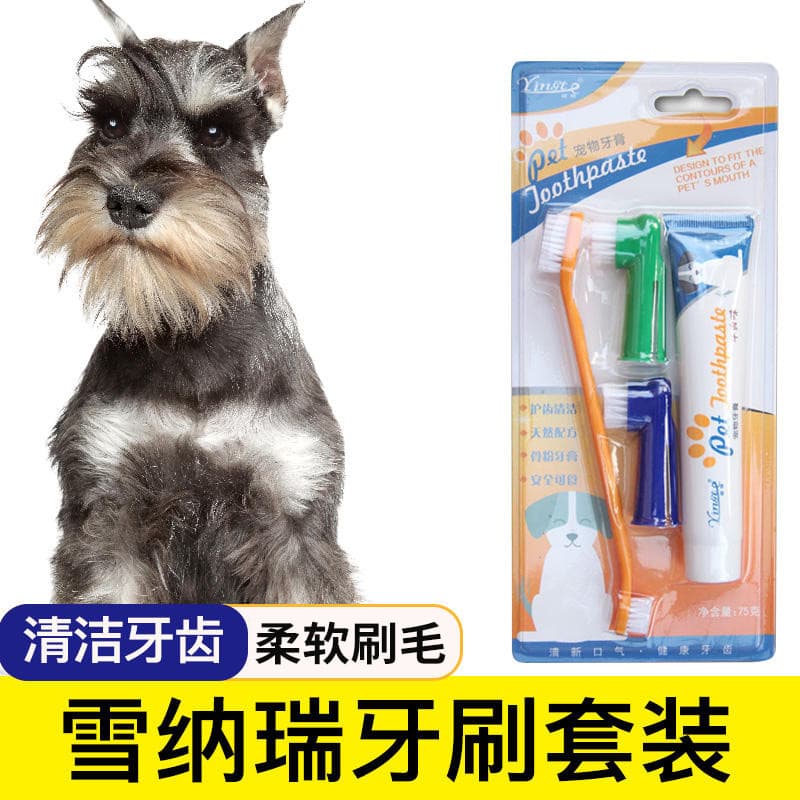 Schnauzer dedicado escova de dentes Pet pasta de dente berços ferramentas de escova de dentes suprimentos de limpeza de