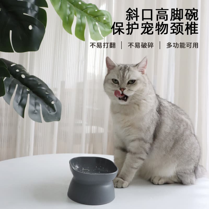 Novo estilo grande abertura de plástico de pé alto tigela de gato clássico proteção de pescoço Anti-derrubamento gato cã