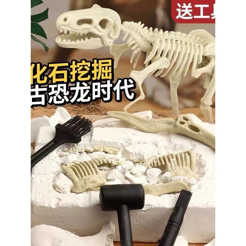 Dinossauro fóssil crianças escavação arqueológica brinquedos tesouro caça esqueleto gesso menino caixa misteriosa jardim