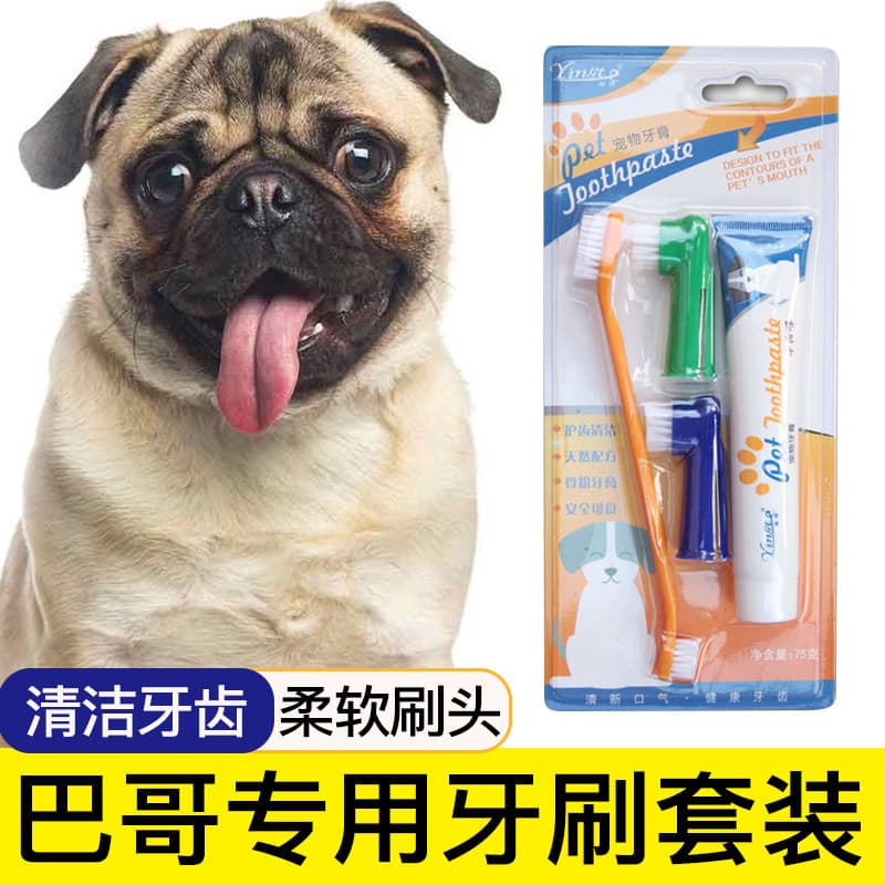 Pug escova de dentes especial para animais de estimação conjunto de pasta de dentes escova de dentes suprimentos de limp