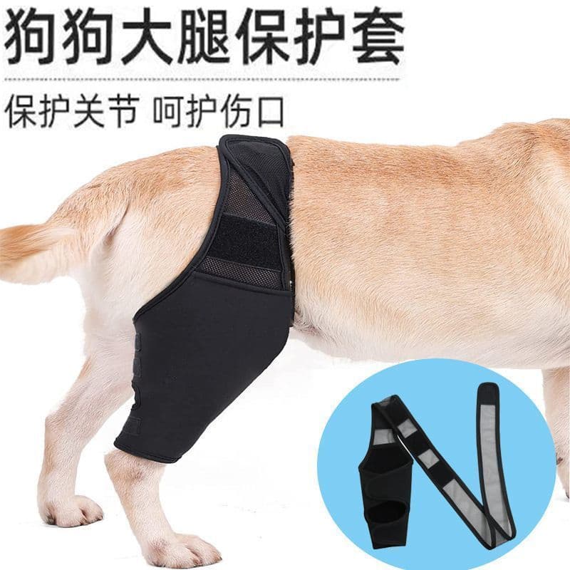 Suporte para fratura de perna de cachorro, capa protetora para perna traseira de cachorro, equipamento de proteção para