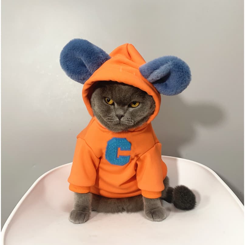 Street Wear roupas de gato azul gato Muppet gato animal de estimação outono inverno estilo fino Anti-fofofo gatinho boni