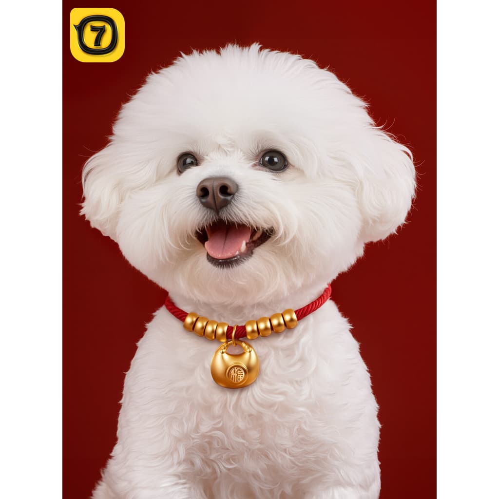 Coleira de cachorro ano novo coleira de cachorro longevidade bloqueio filhote de cachorro colar pequeno médio coleira de