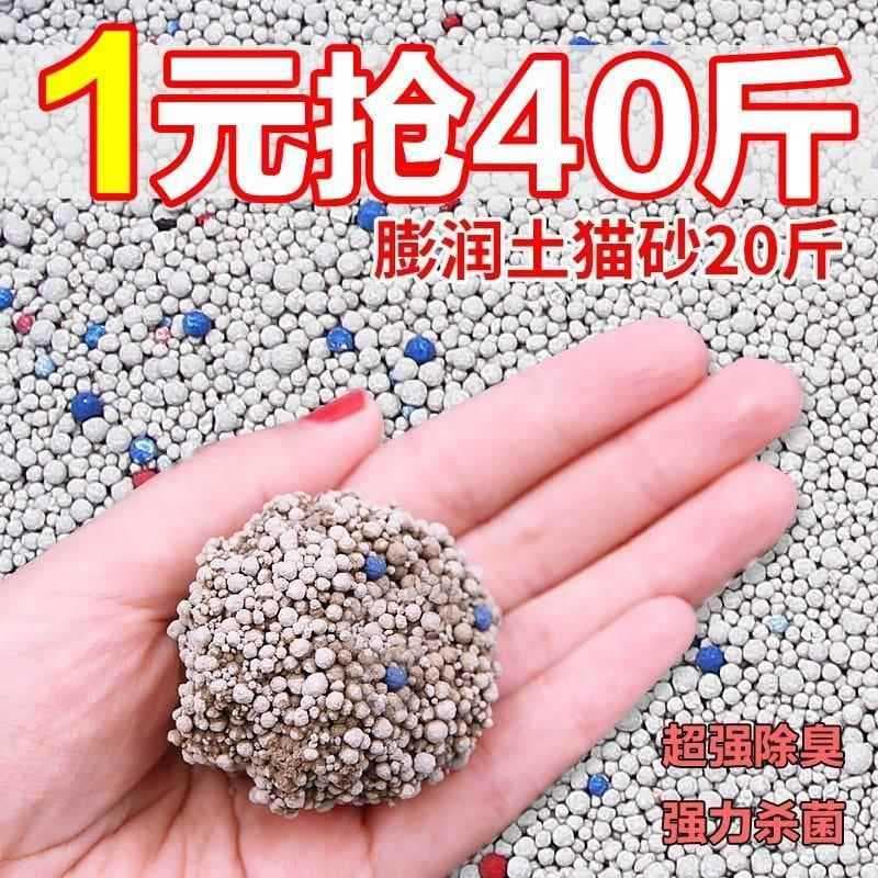 Suprimentos para gatos