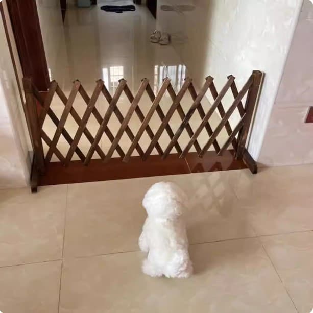 Cerca para animais de estimação, gaiola divisória para cães, bloqueio de cães, varanda, porta de isolamento, cerca retrá