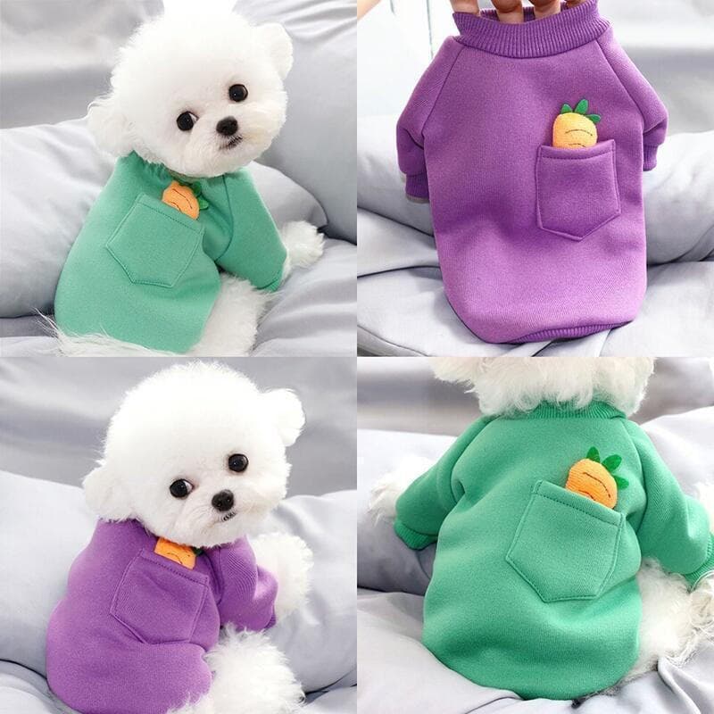 Cenoura Dos Desenhos Animados Roupas Para Cães Outono E Inverno Pet Bichon Teddy Camisola Cor Sólida Macio Filhote De Ca