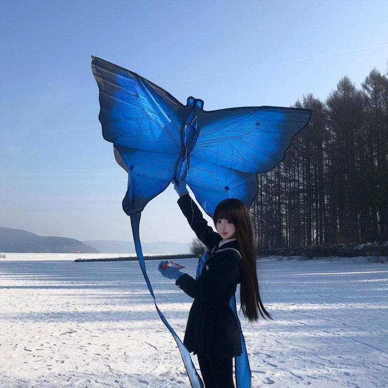Borboleta kite adulto dedicado portátil grande roleta de íris de papel com linha saco conspicuoso tradicional grande kit