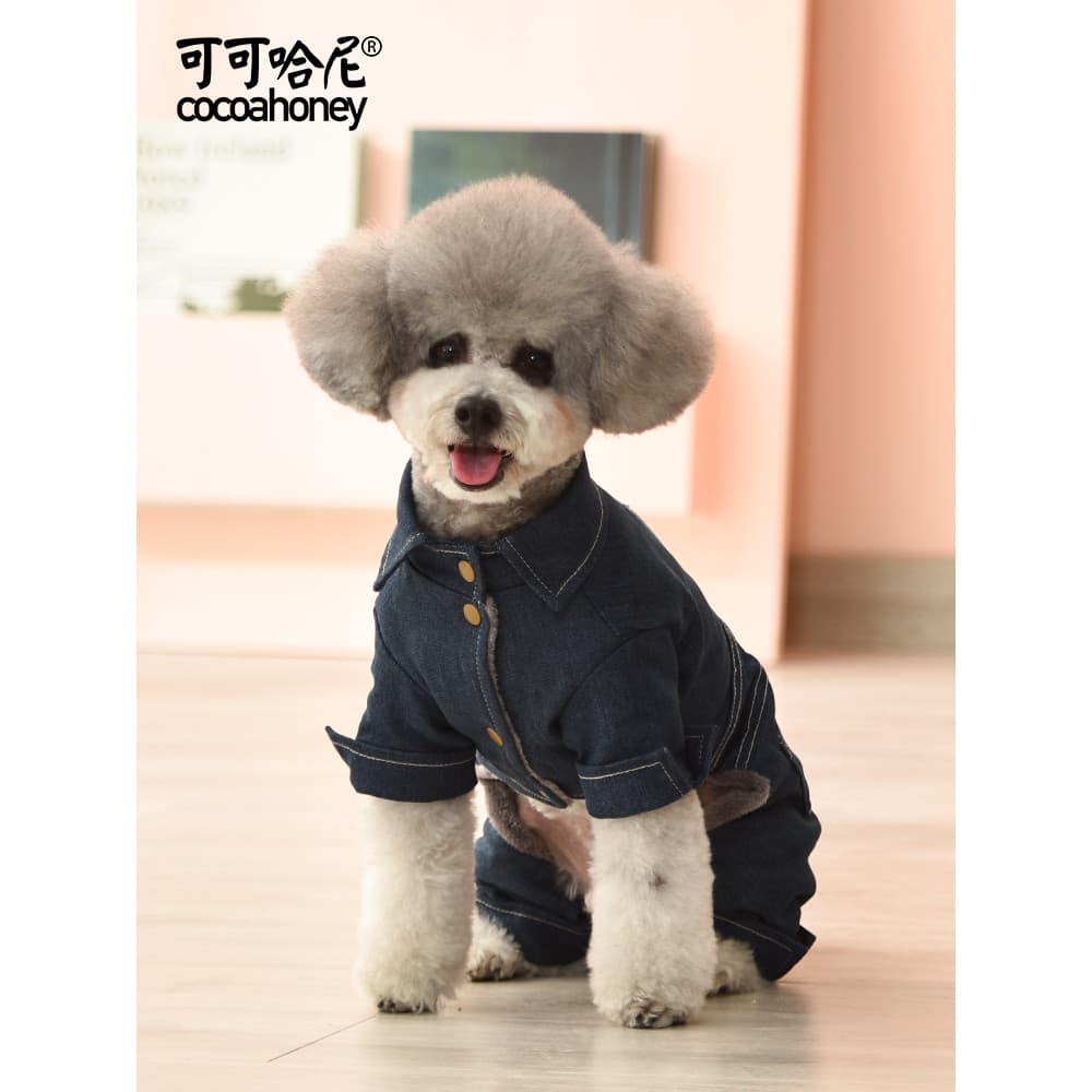 Moda legal Denim roupas para cães outono inverno roupas Teddy Pomeranian Bichon Schnauzer estilo inverno Pet roupas de o