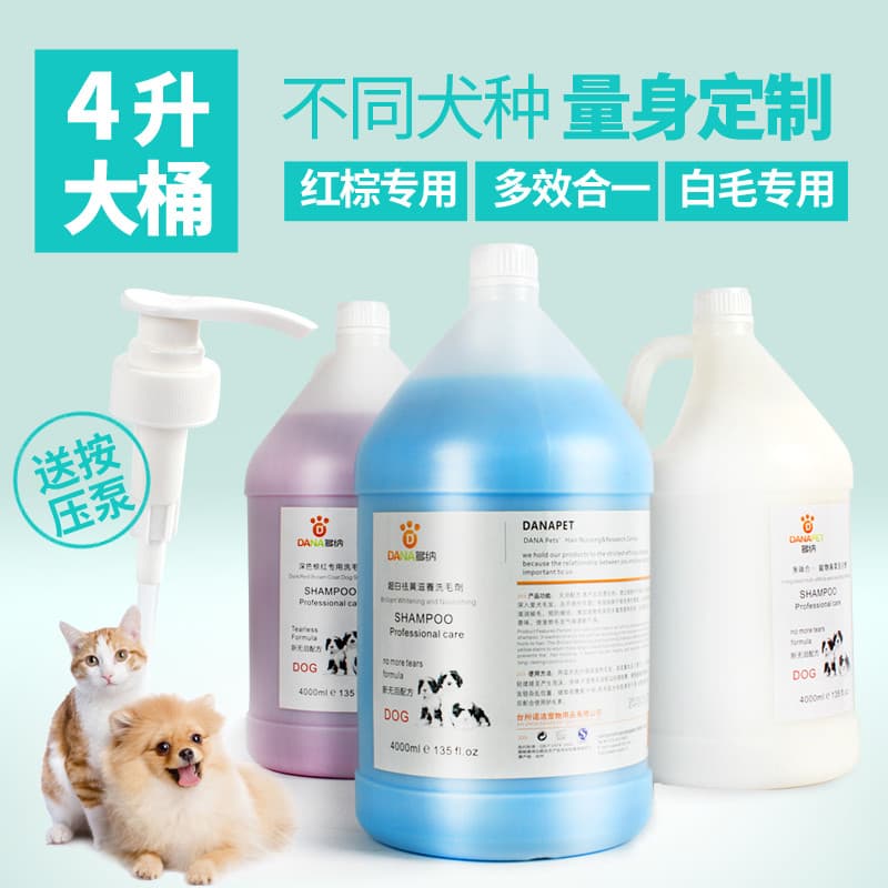 Dona Pet Body Wash Dog Shampoo Banho Líquido Teddy Bichon Golden Retriever Satsuma Shampoo 4L Barril Grande Universal