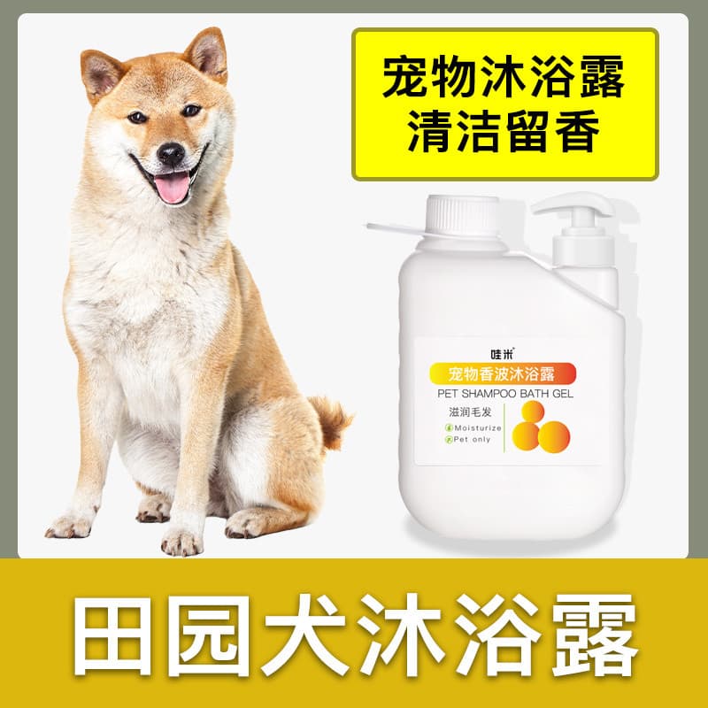 Cães pastorais chineses, cães nativos, dedicados, barril grande, Gel de banho, fragrância de limpeza de cabelo, filhotes