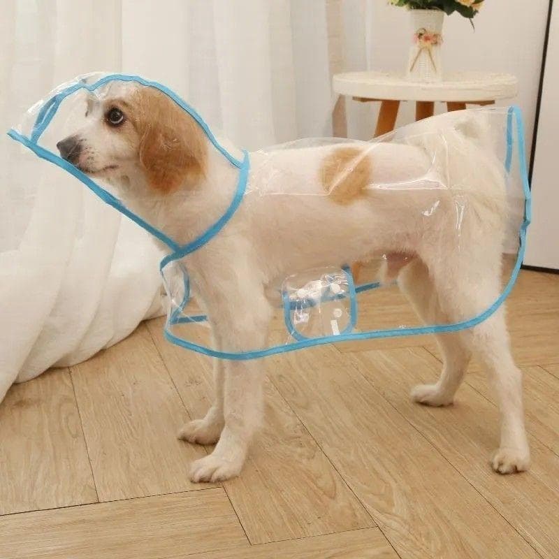 Capa de chuva para cachorro, transparente, Teddy, Golden Retriever, pequeno, Labrador, grande, à prova d'água, Pet, Bich