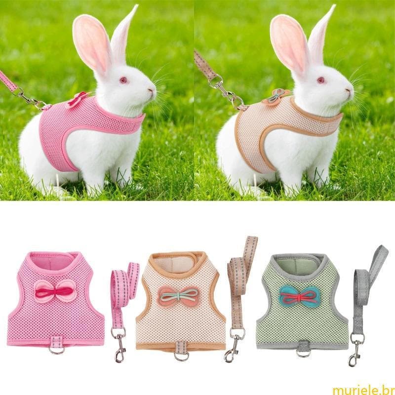 Conjunto Coleira Coelho Mur Ajustável, Colete Respirável, Corda Para Animais Estimação Pequenos