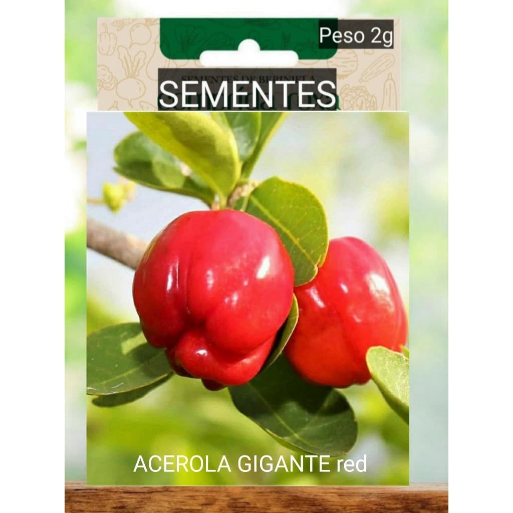 SEMENTES de ACEROLA GIGANTE Cabocla Para o Plantio /FRUTA vaso horta adubo OFERTA RELÂMPAGO