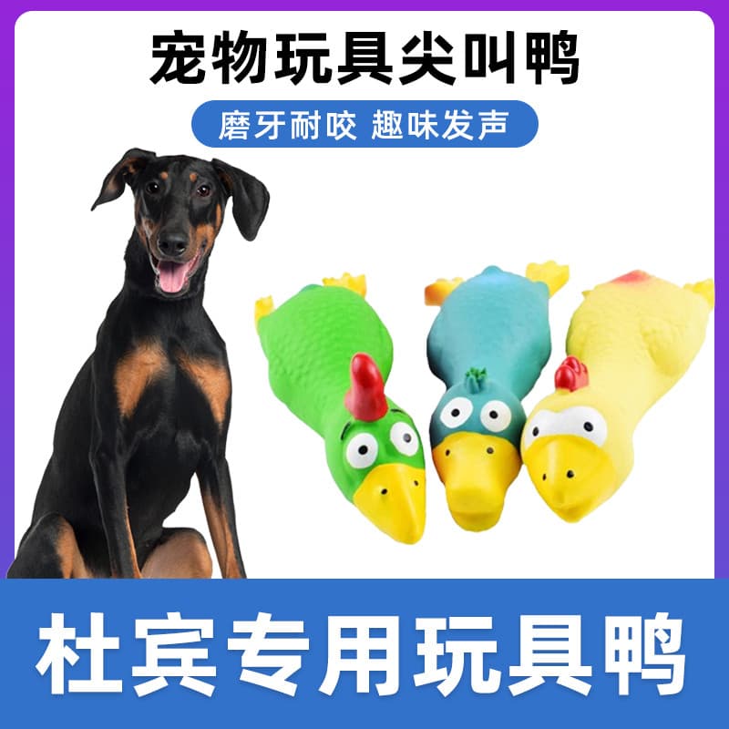 Doberman especial gritando frango brinquedo frango gritando estranho gritando luta frango cão gritando frango brinquedo