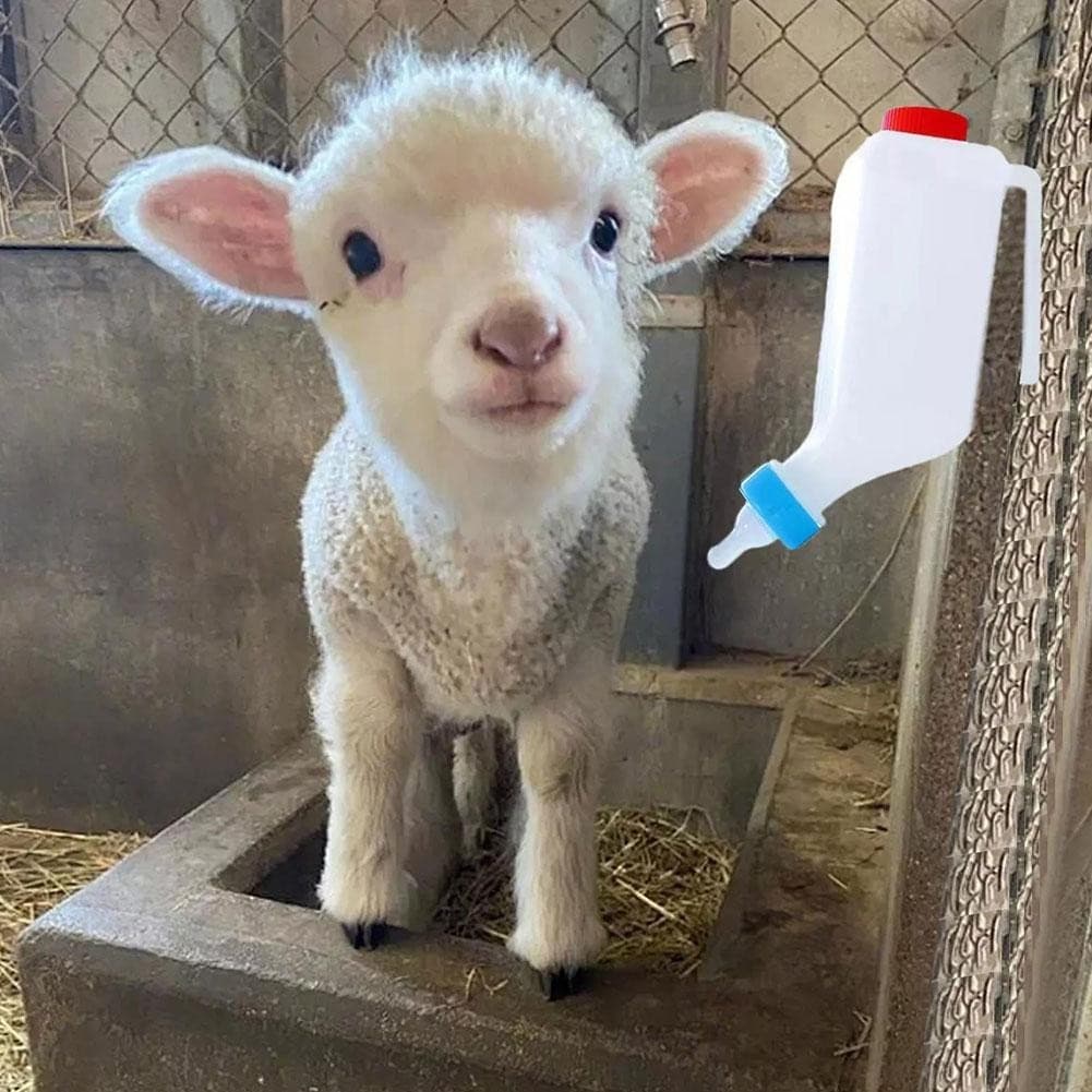 Garrafas De Leite Para Animais , Porcos , Cães , Ovelhas , Gatos , Chaleiras , Alimentação Invertida , Chupetas De Bebê