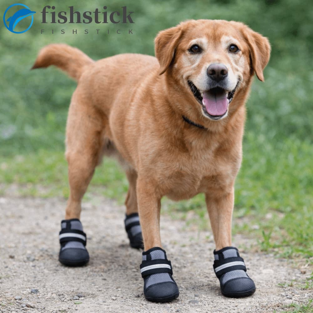 FISHSTICKA 4 Unidades/Conjunto Sapatos De Malha Para Cães , Capa De Sapato Antiderrapante Respirável Animais De Estimaçã