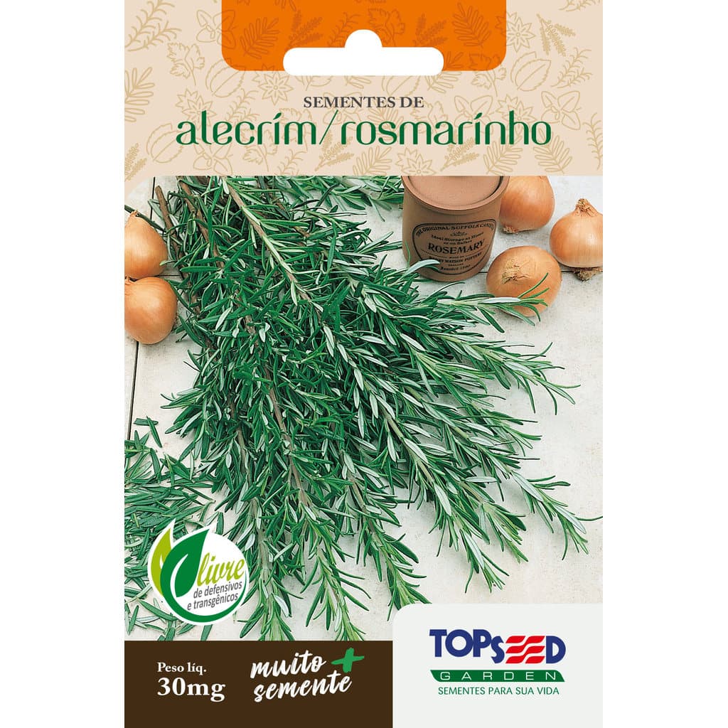 Sementes de Alecrim Rosmarinho Ervas Temperos Horta